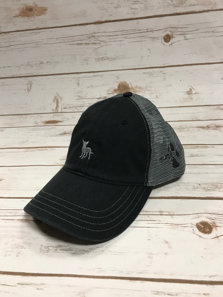 Chihuahua "Mr. Ears" Hat