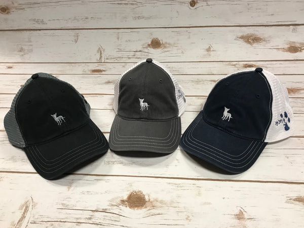 Chihuahua "Mr. Ears" Hat