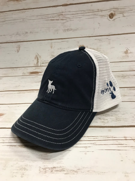 Chihuahua "Mr. Ears" Hat