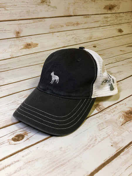 Boston Terrier "Sammy" Hat