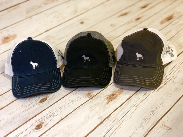 Boston Terrier "Sammy" Hat