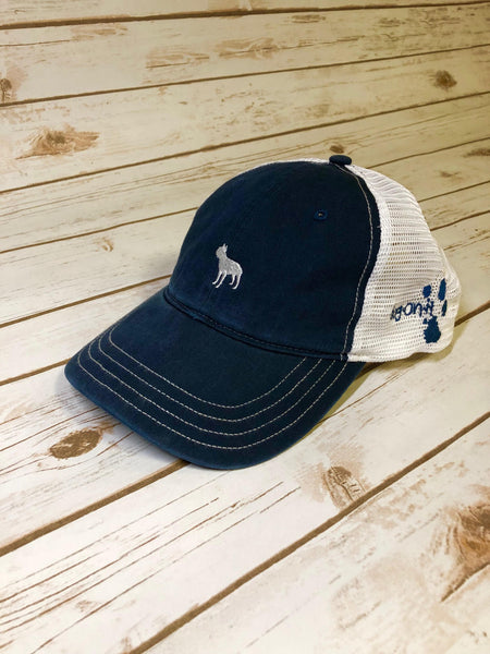 Boston Terrier "Sammy" Hat